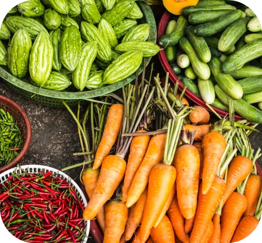 Cestas llenas de verduras frescas y coloridas